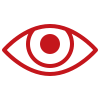 icons8-vision-100